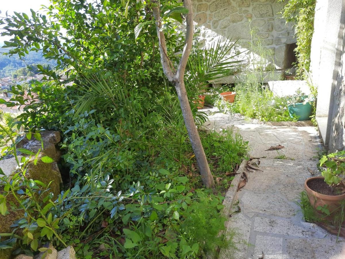Villa Catarina - Xuresvillas Lobios Εξωτερικό φωτογραφία